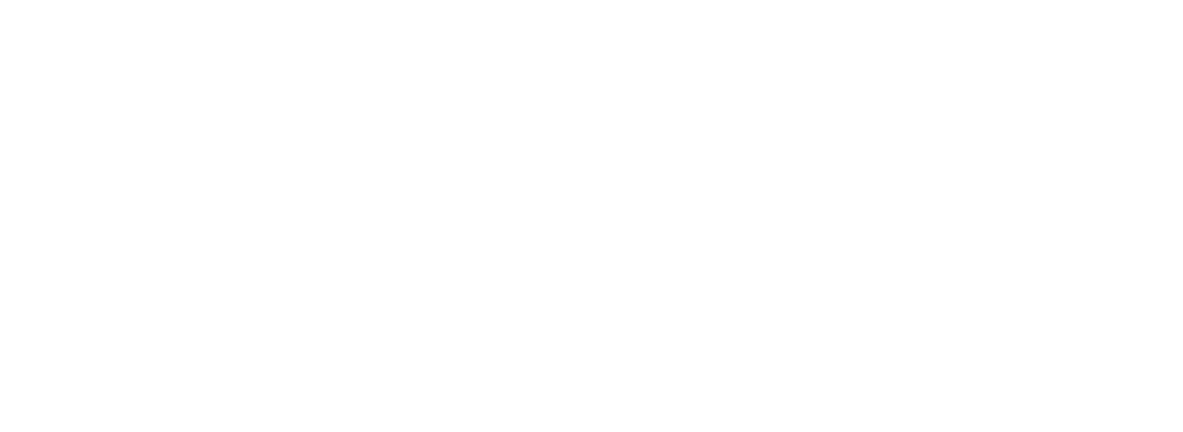 BSC Logo